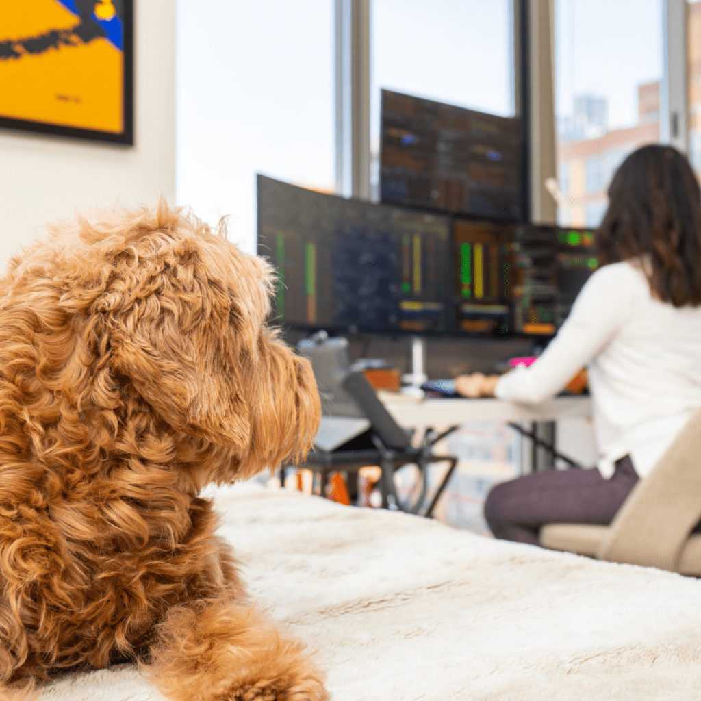 Woman and pet working from home